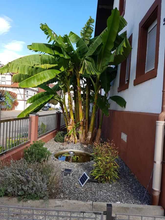 Apartmán Marielies-Urlaubsstube Meißenheim Exteriér fotografie